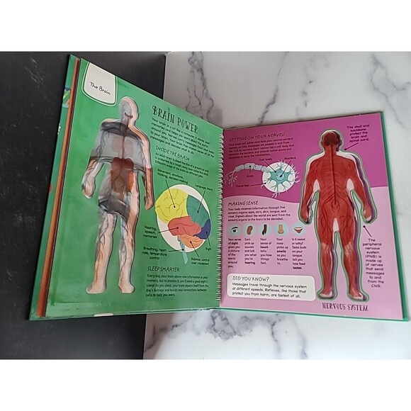 See Inside the Human Body - Hardcover By Hilton, Samantha - GOOD - Picture 5 of 10